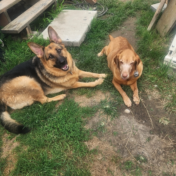 Meet your Posher, Julie H. - Picture 2 of 7